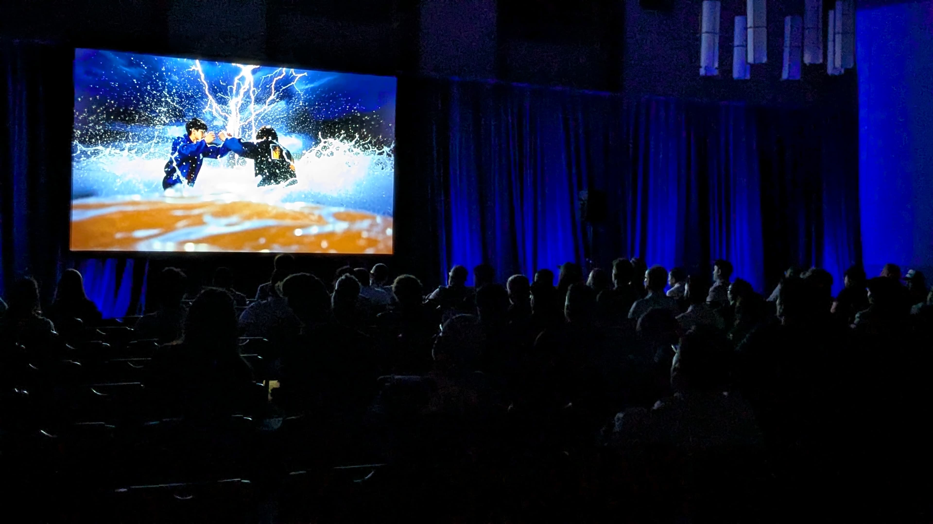 AAIFF 2025 audience